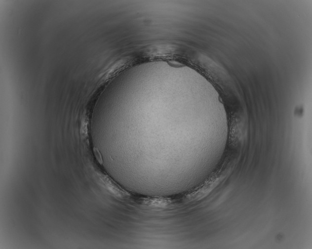 X0000097920282200803281433