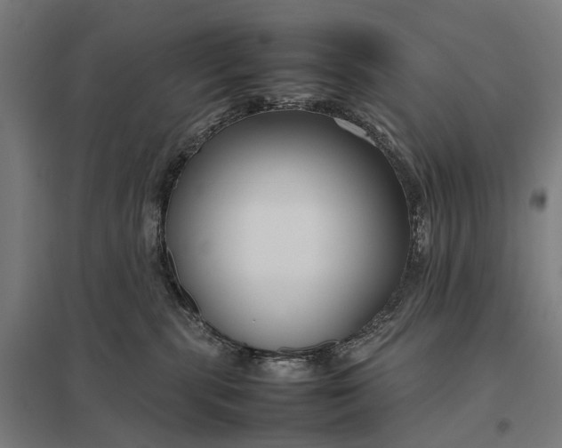 X0000097920283200803281433