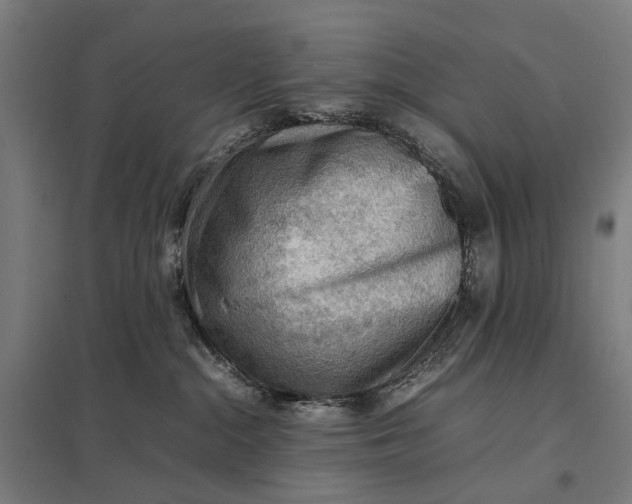 X0000097920284200803281433