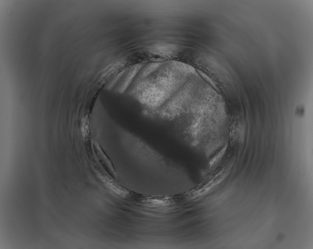 X0000097920285200803281433