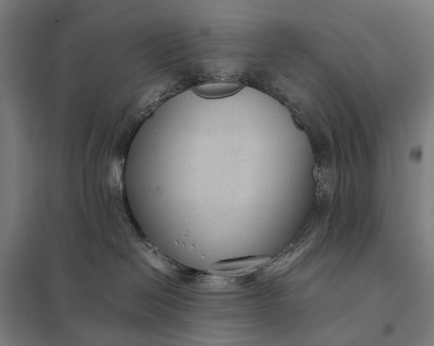 X0000097920286200803281433