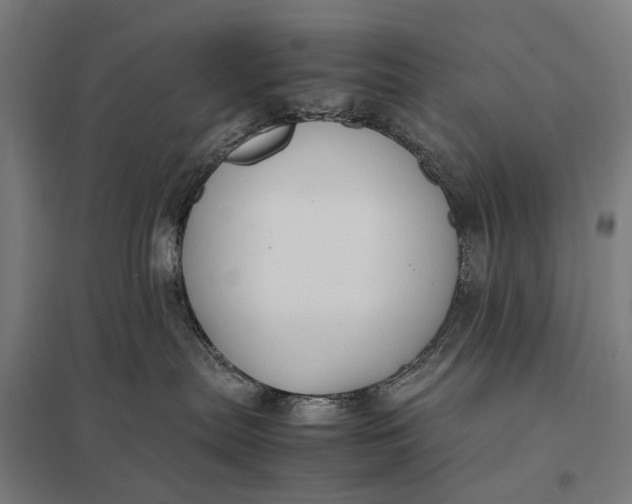 X0000097920287200803281433