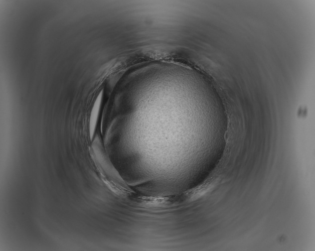 X0000097920288200803281433