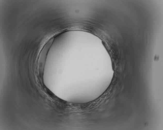 X0000097920289200803281432