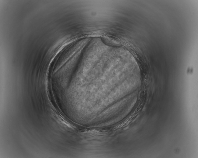 X0000097920290200803281432