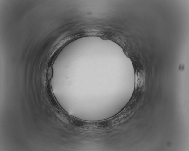 X0000097920291200803281432