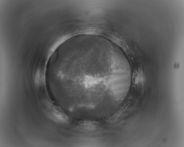 X0000097920292200803281432