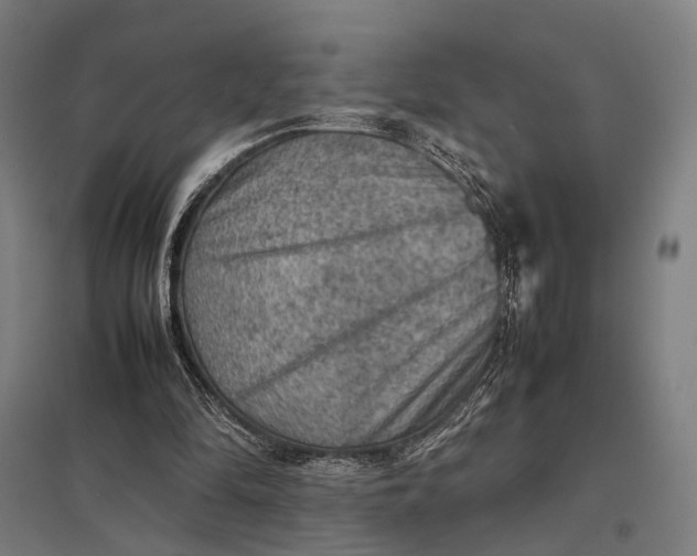 X0000097920294200803281432