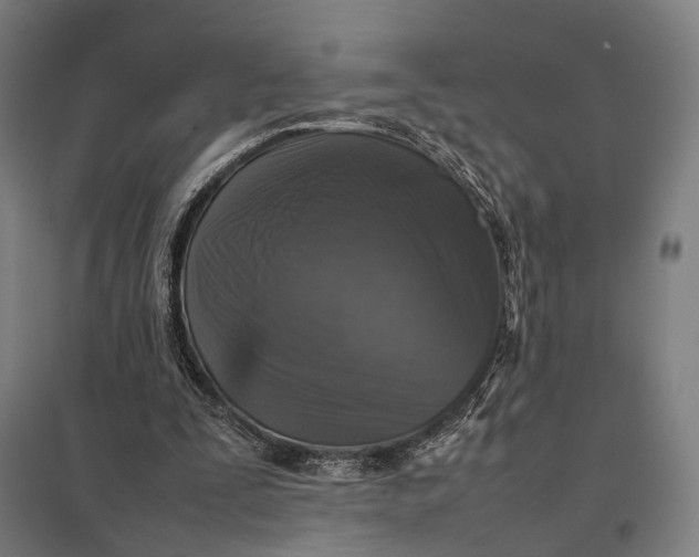 X0000097920295200803281432