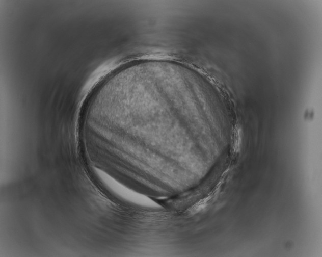 X0000097920296200803281432