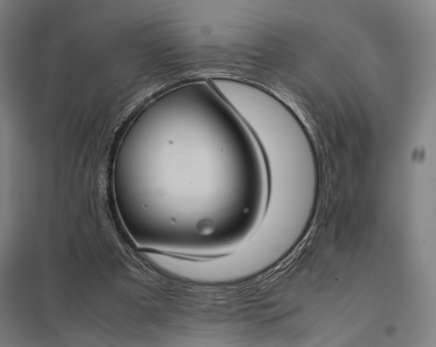 X0000097920297200803281432