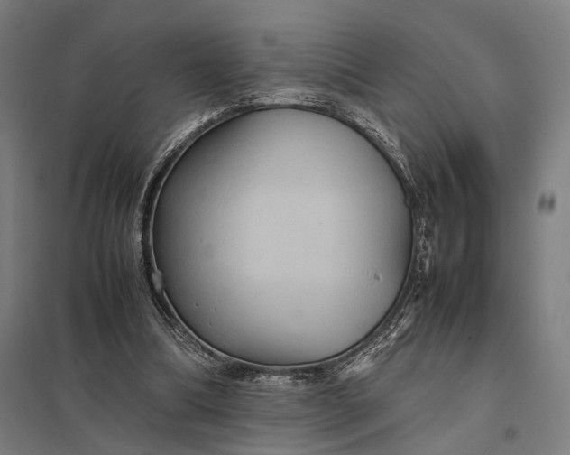 X0000097920298200803281432