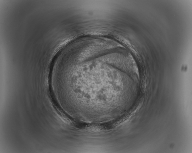 X0000097920299200803281432