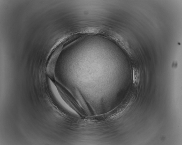 X0000097920300200803281432