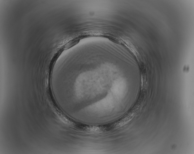 X0000097920301200803281432