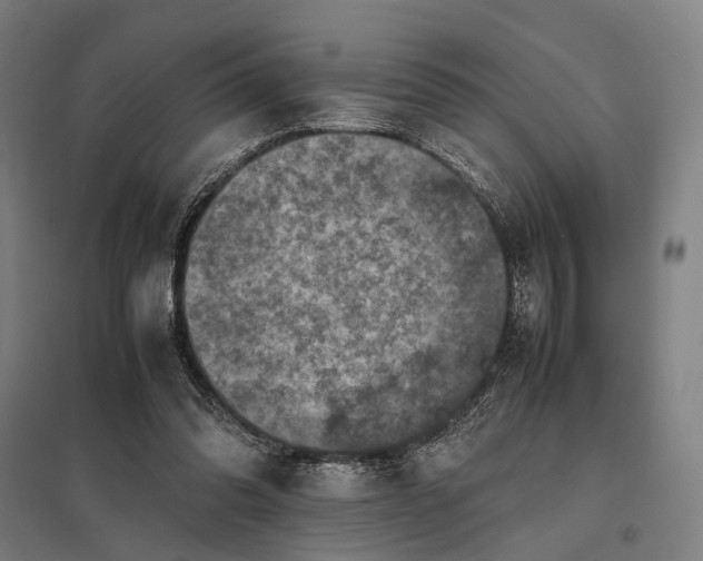 X0000097920302200803281432