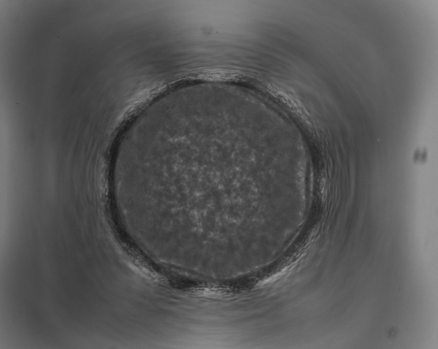 X0000097920303200803281432