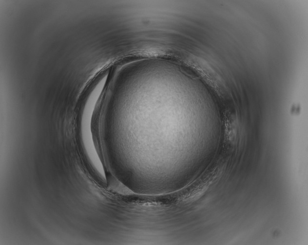 X0000097920304200803281432