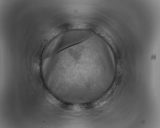 X0000097920305200803281432