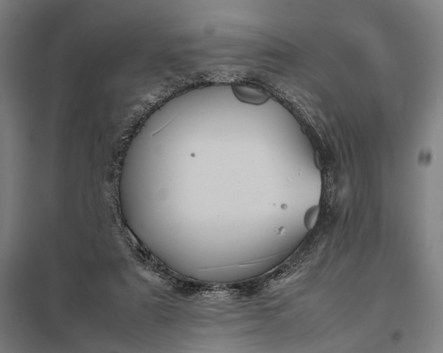 X0000097920307200803281432