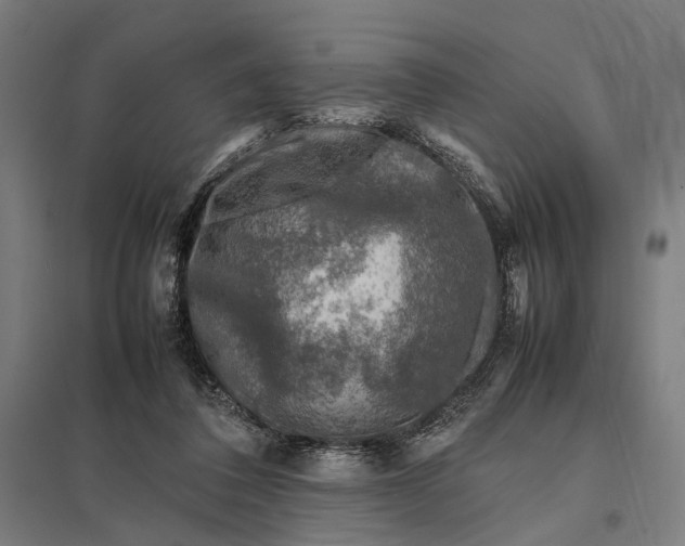 X0000097920308200803281432