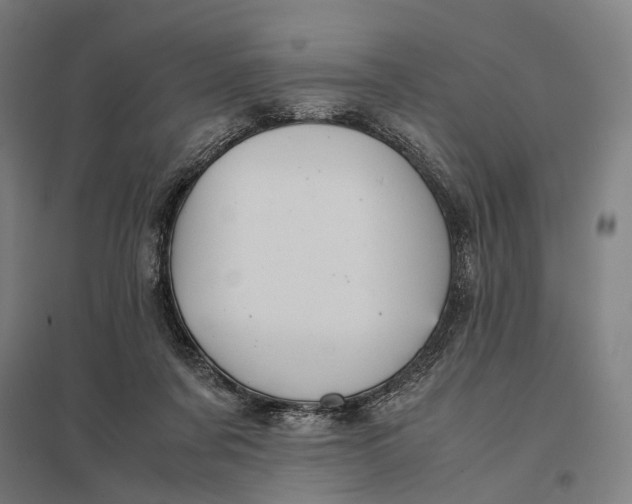 X0000097920311200803281432