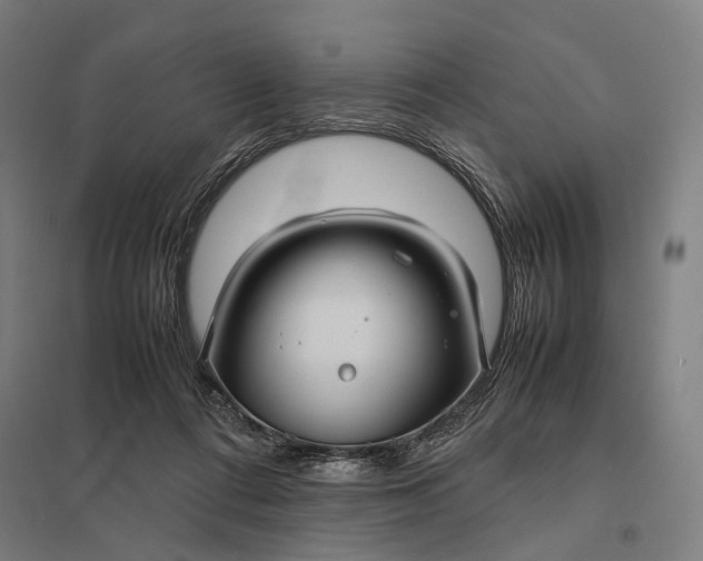 X0000097920312200803281432