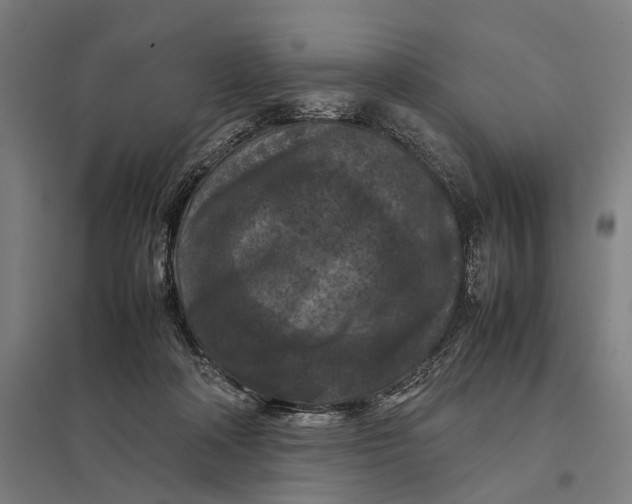 X0000097920314200803281432