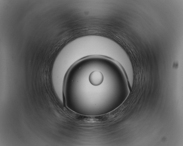 X0000097920316200803281432