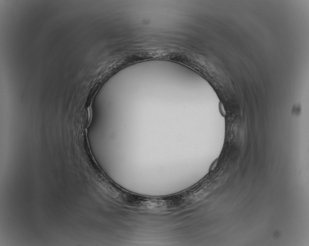 X0000097920317200803281432