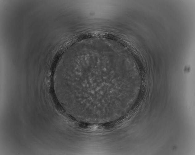 X0000097920319200803281432