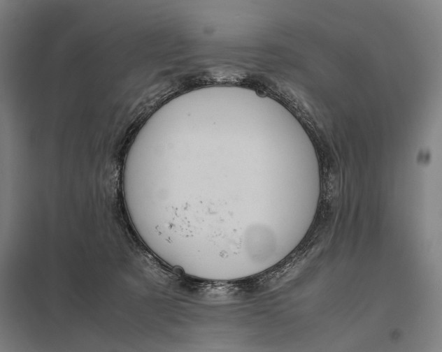 X0000097920321200803281432