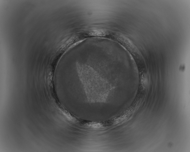 X0000097920322200803281432