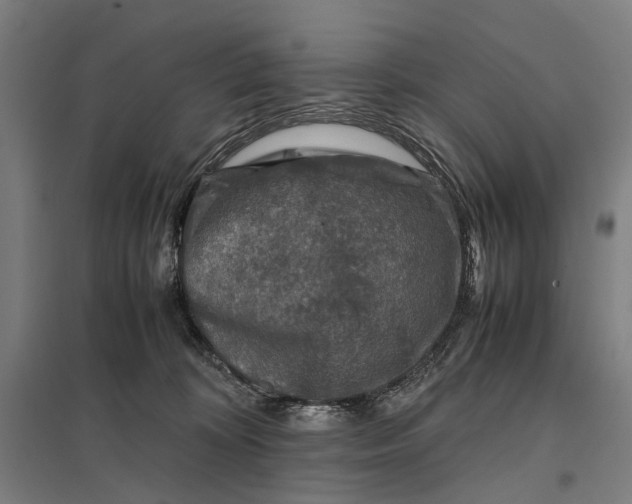 X0000097920324200803281432