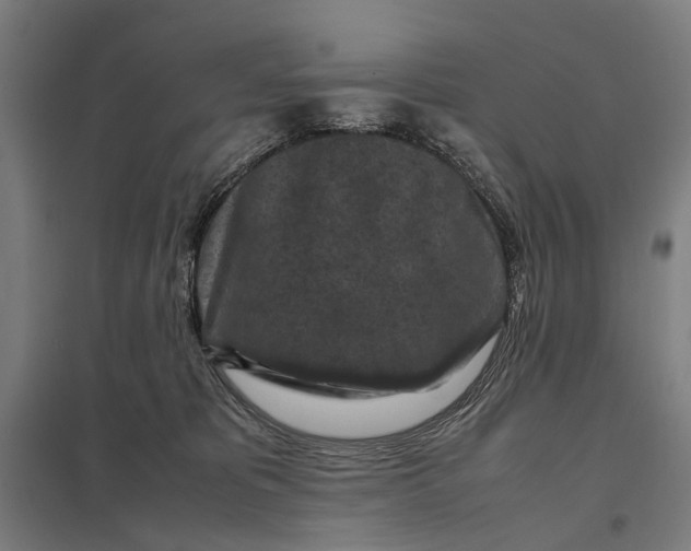 X0000097920325200803281432