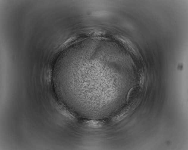 X0000097920326200803281432