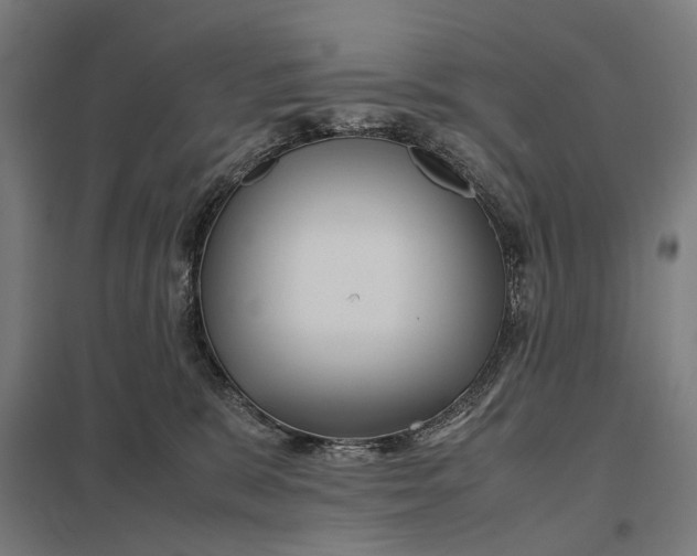 X0000097920327200803281432