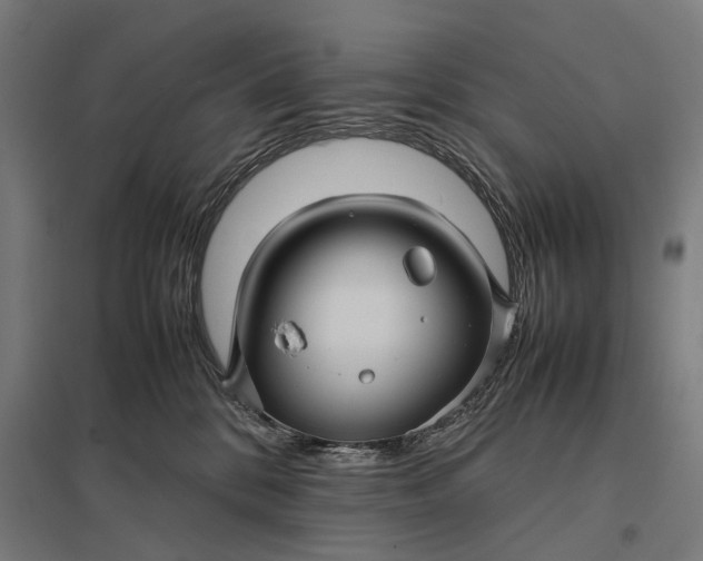 X0000097920328200803281432