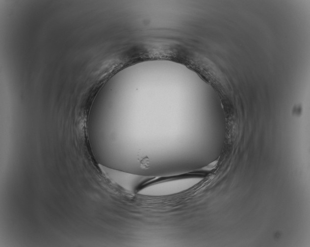 X0000097920329200803281432