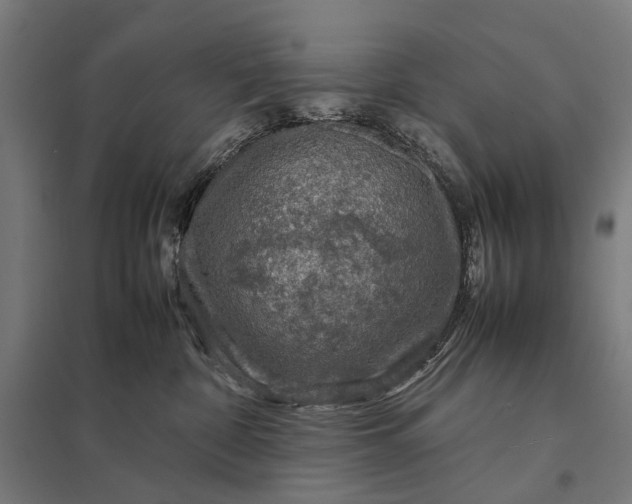 X0000097920332200803281432