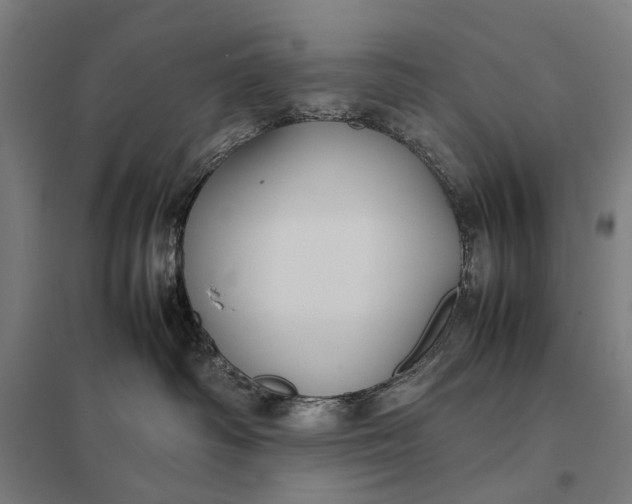 X0000097920334200803281432