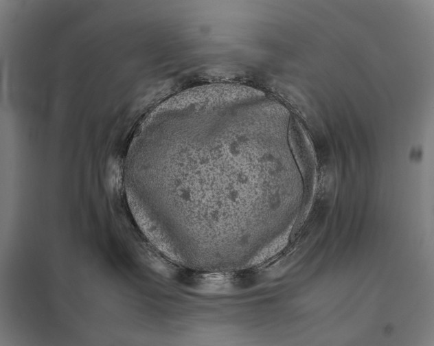 X0000097920335200803281432