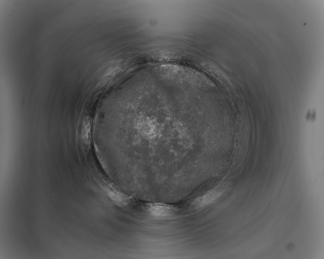 X0000097920336200803281432