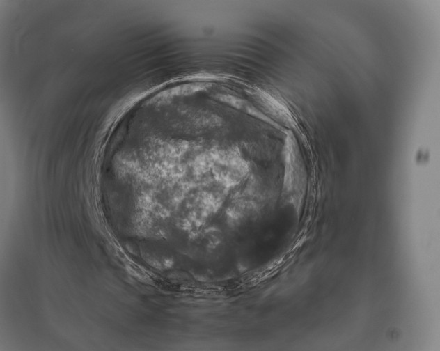 X0000097920337200803281431