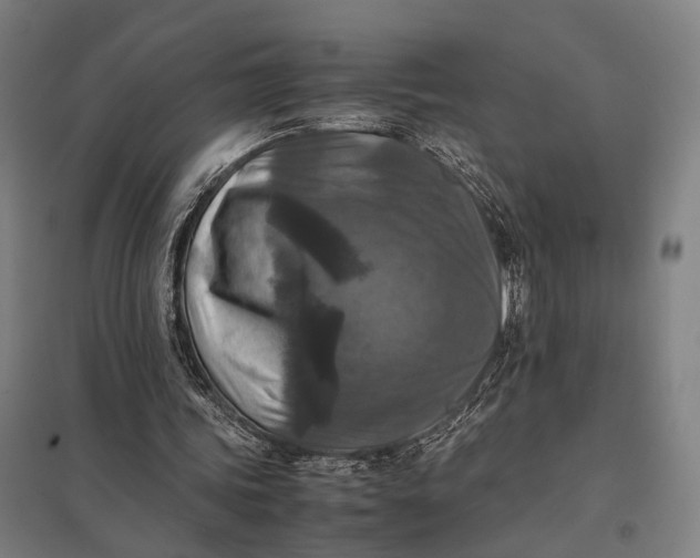 X0000097920339200803281431