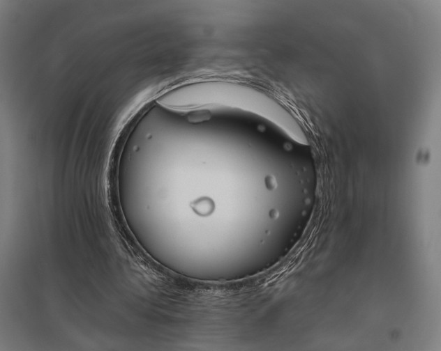 X0000097920340200803281431