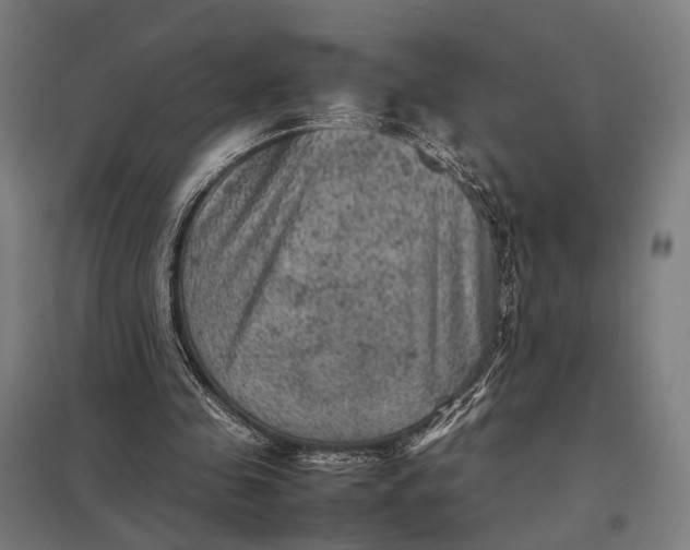 X0000097920341200803281431