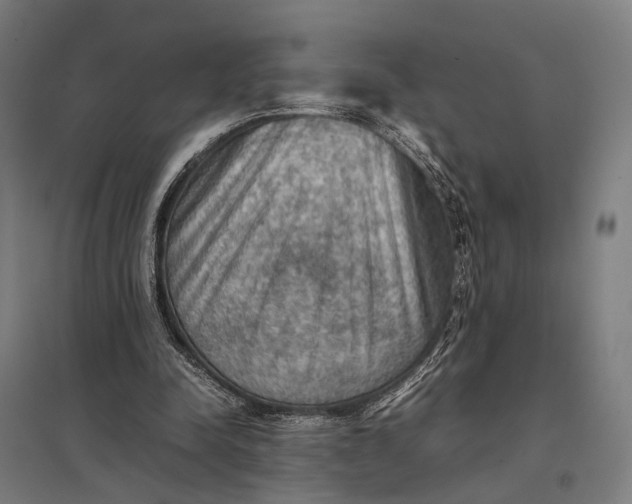 X0000097920342200803281431