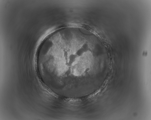 X0000097920343200803281431