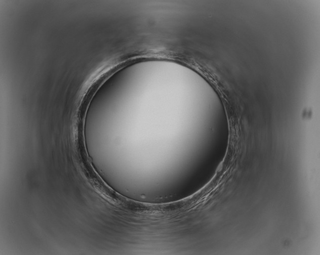 X0000097920344200803281431